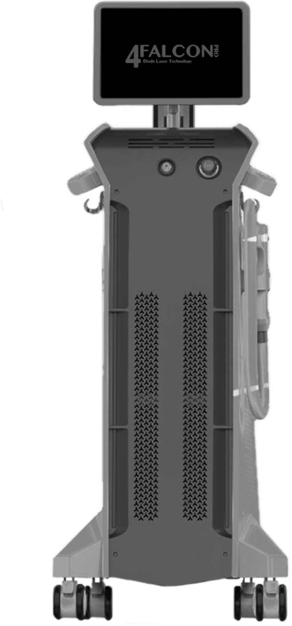 Falcon 4 Pro